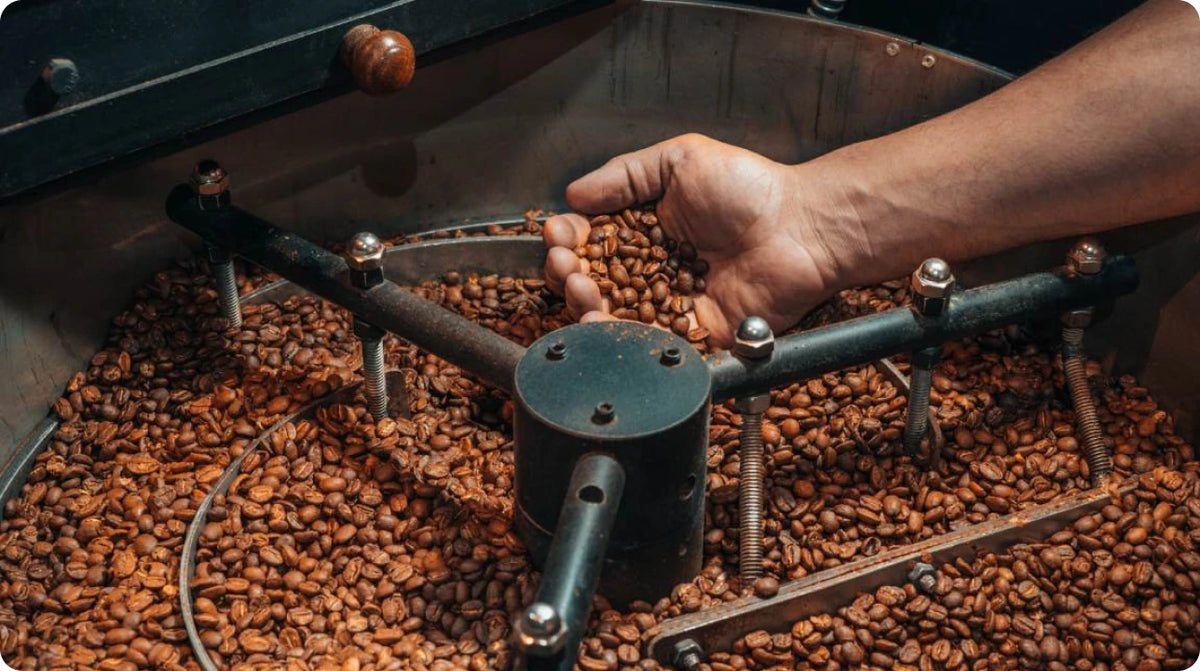 Hands turning freshly roasted beans on a cooling tray